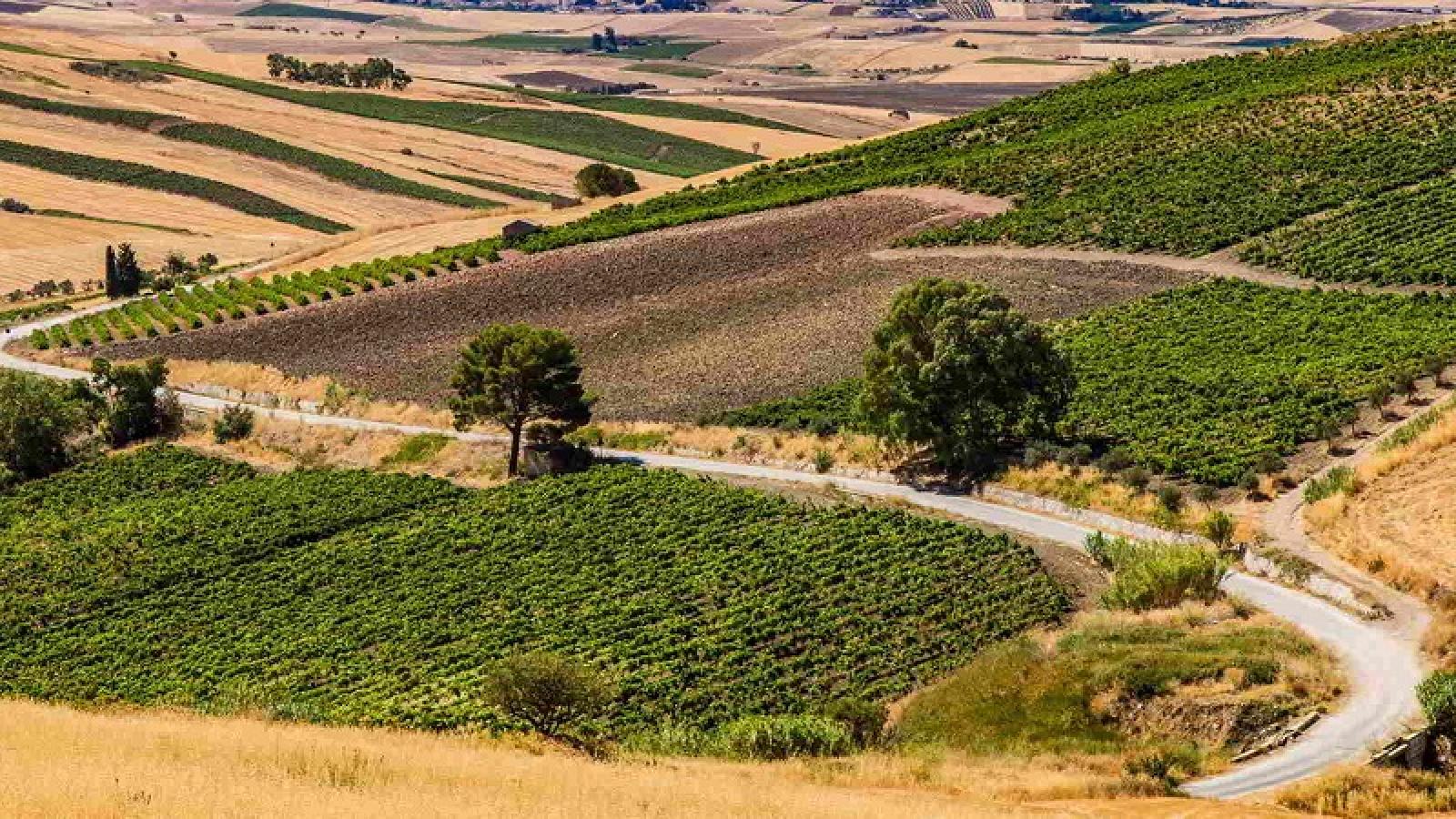 Agricoltura